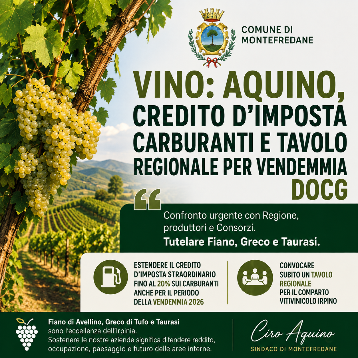 Immagine di copertina: VINO: AQUINO, CREDITO IMPOSTA CARBURANTI E TAVOLO REGIONALE PER VENDEMMIA DOCG